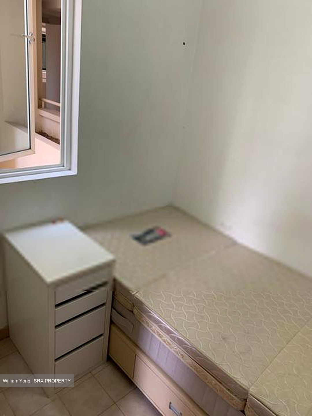 The Tropica (D18), Condominium #607507781